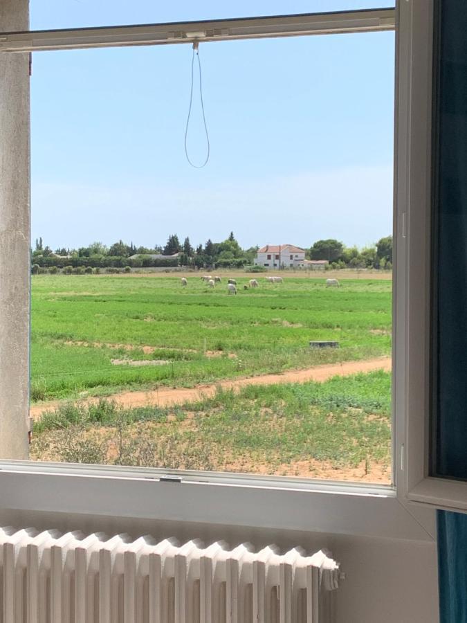 Mas D'Artaud Daire Arles Dış mekan fotoğraf